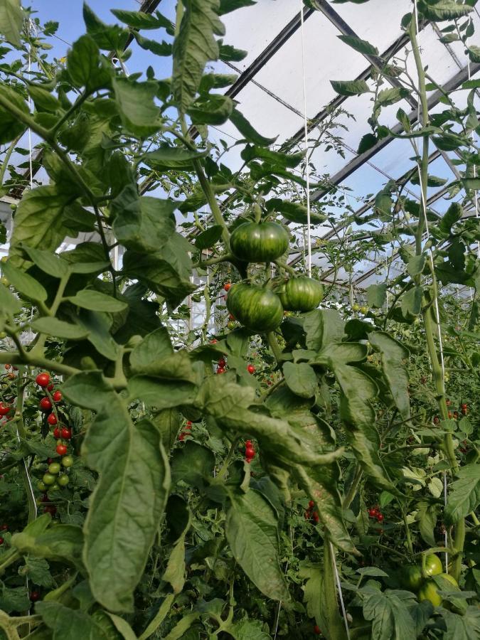הייורינג Green Vagon, Farm B&B Rooms For Rent מראה חיצוני תמונה