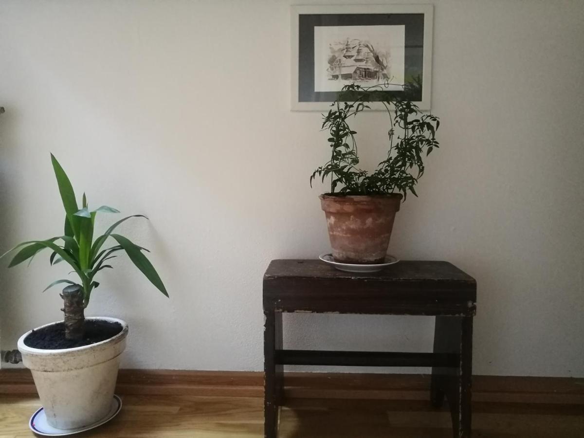 הייורינג Green Vagon, Farm B&B Rooms For Rent מראה חיצוני תמונה